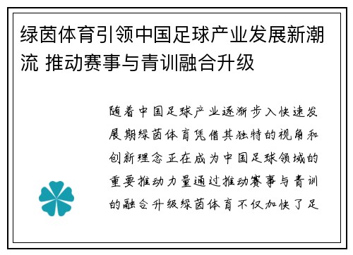 绿茵体育引领中国足球产业发展新潮流 推动赛事与青训融合升级