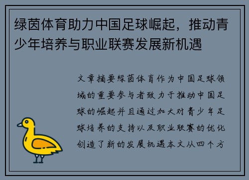绿茵体育助力中国足球崛起，推动青少年培养与职业联赛发展新机遇